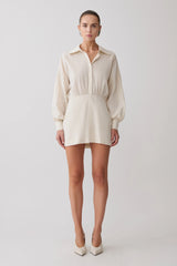 Ivy Oversize Shirt Mini Dress - Stripe